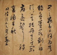 鷨
